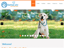 Tablet Screenshot of ccpetsclinic.com